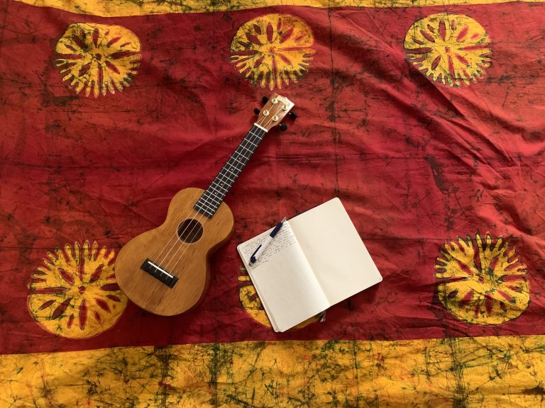 Journal of IDP Goals